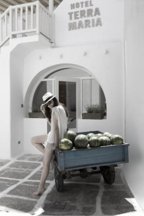 Отель Terra Maria Hotel  Микены